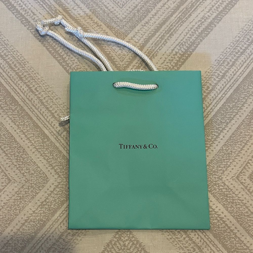 Tiffany & Co. Aqua Mini Shopping Bag